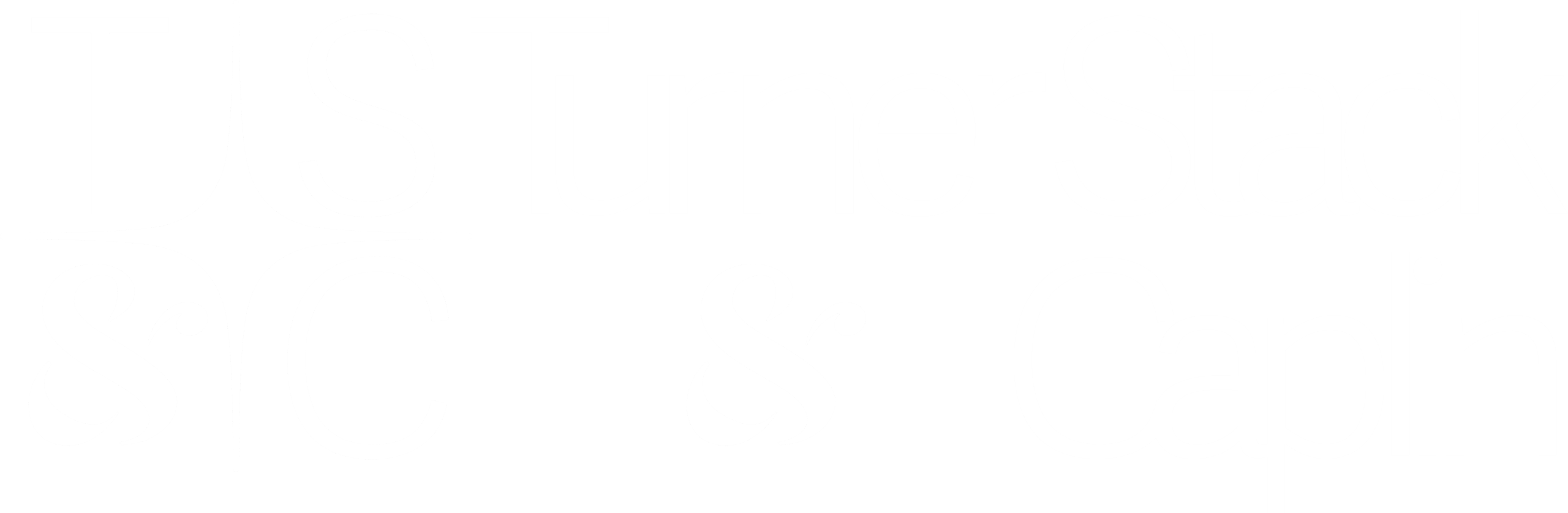 turner logo